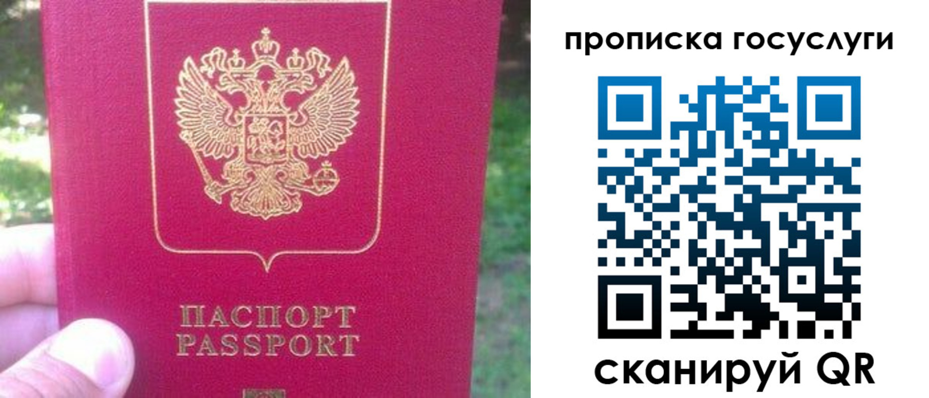 временная регистрация собственник в Владимирской области